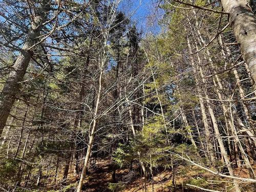 Lot 23-1 Grimm Road, First South, NS 