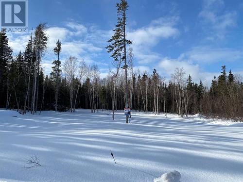 Lot 2 Cherrywood Drive, Cormack, NL 