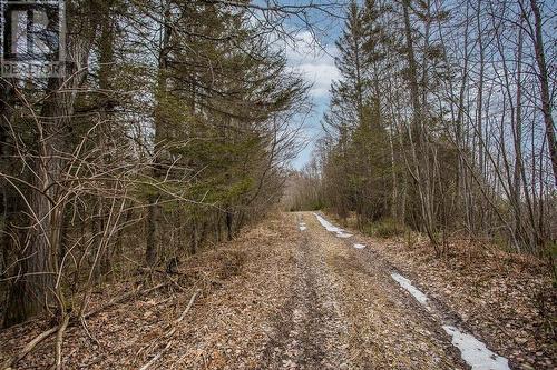 20 Giguere Rd|Huron Shores Township, Huron Shores, ON - Outdoor With View