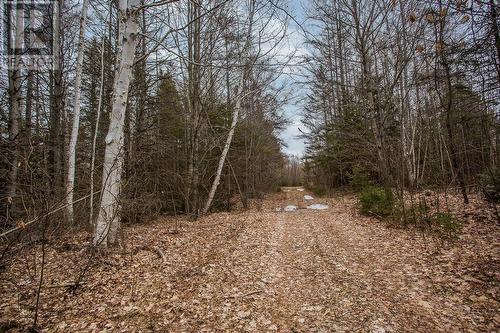 20 Giguere Rd|Huron Shores Township, Huron Shores, ON - Outdoor With View