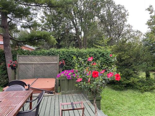 Backyard - 314 Av. Cloverdale, Dorval, QC - Outdoor With Deck Patio Veranda