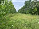 Lot 31 Cardwell Street, Manitowaning, Manitoulin Island, ON 