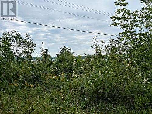 Lot 31 Cardwell Street, Manitowaning, Manitoulin Island, ON 