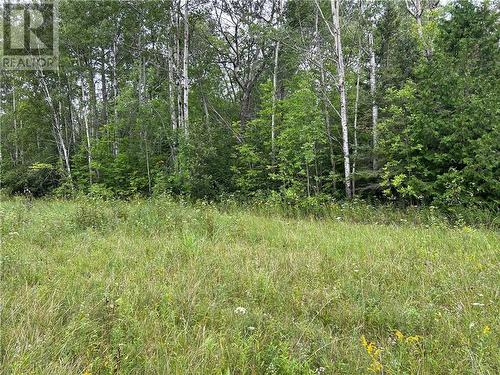 Lot 31 Cardwell Street, Manitowaning, Manitoulin Island, ON 