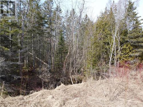 Lot 31 Cardwell Street, Manitowaning, Manitoulin Island, ON 