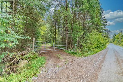 443 Pinery Road, Kawartha Lakes, ON - Outdoor With View