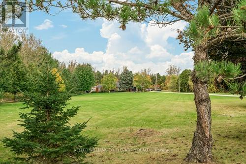 4060 10Th Side Road, Bradford West Gwillimbury, ON - Outdoor With View