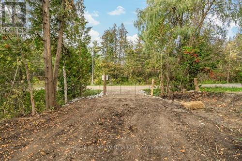 4060 10Th Side Road, Bradford West Gwillimbury, ON - Outdoor With View