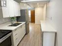 976 King St E, Hamilton, ON  - Indoor Photo Showing Kitchen With Double Sink 