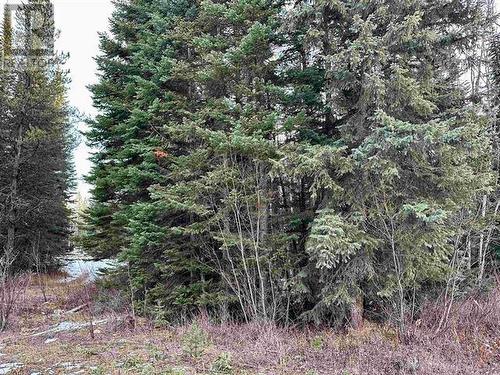 Lot 2 Kreitz Road, Prince George, BC 