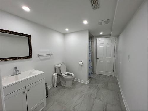 93 Medici Lane, Hamilton, ON - Indoor Photo Showing Bathroom