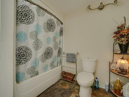 Salle de bains - 516 1Re Avenue Du Lac-Capri, Saint-Colomban, QC - Indoor Photo Showing Bathroom