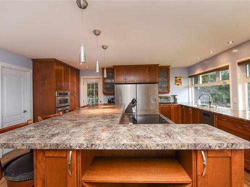 3828 Laurel Dr, Royston, BC - Indoor Photo Showing Kitchen With Upgraded Kitchen