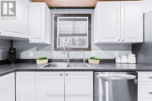 1007 Elliott Road, Algonquin Highlands, ON - Indoor Photo Showing Kitchen With Double Sink