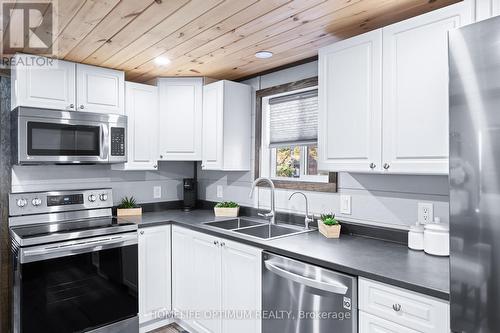 1007 Elliott Road, Algonquin Highlands, ON - Indoor Photo Showing Kitchen With Double Sink