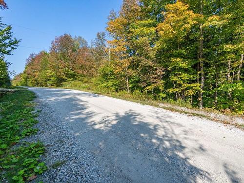 Land/Lot - Ch. Dulude, Orford, QC 