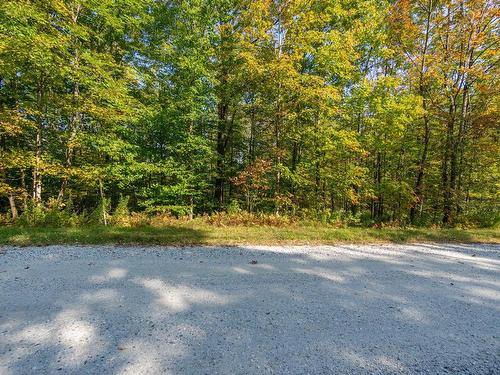 Land/Lot - Ch. Dulude, Orford, QC 