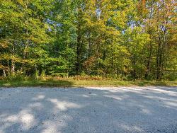 Land/Lot - 