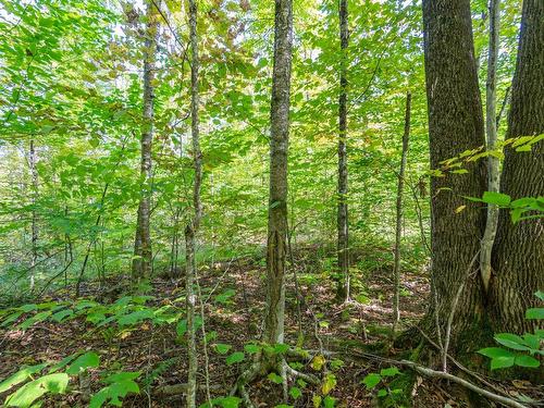 Land/Lot - Ch. Dulude, Orford, QC 