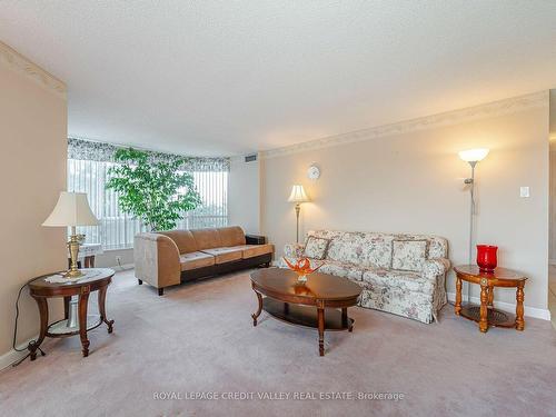301-24 Hanover Rd, Brampton, ON - Indoor Photo Showing Living Room