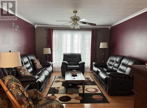 168A Main Street, Carmanville, NL - Indoor Photo Showing Living Room