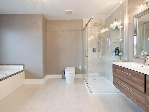 Ensuite bathroom - 139 Rue Bach, Vaudreuil-Dorion, QC - Indoor Photo Showing Bathroom