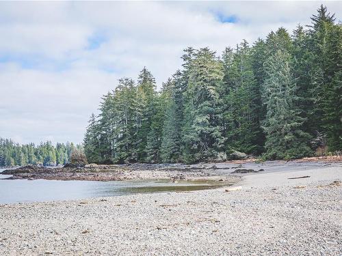 0 Francis Island, Ucluelet, BC 