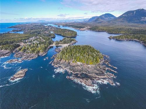 0 Francis Island, Ucluelet, BC 