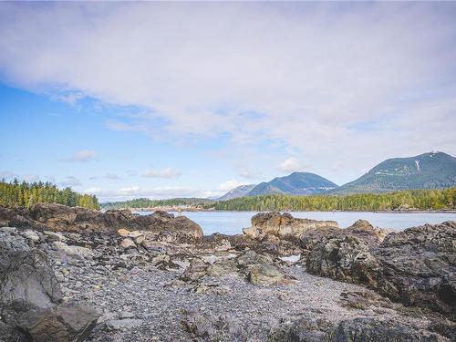 0 Francis Island, Ucluelet, BC 