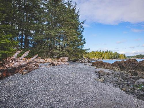 0 Francis Island, Ucluelet, BC 