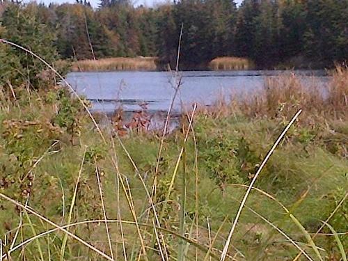 East Point Road, Souris, PE 