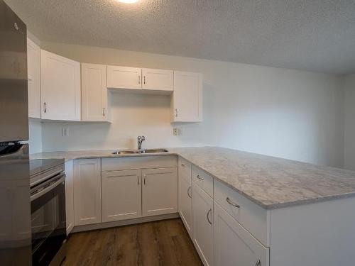 2-460 Dalgleish Drive, Kamloops, BC - Indoor Photo Showing Kitchen With Double Sink
