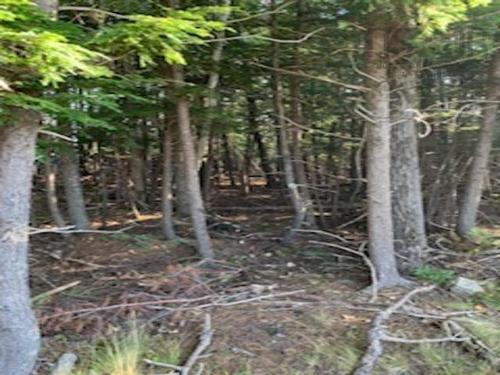 18 Acres Highway 256, West Branch, NS 