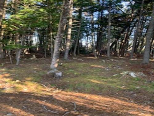 18 Acres Highway 256, West Branch, NS 