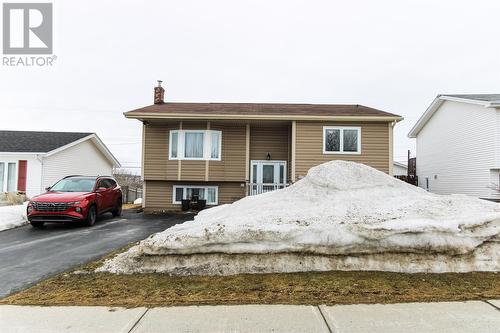 113 Michener Avenue, Mount Pearl, NL - Outdoor
