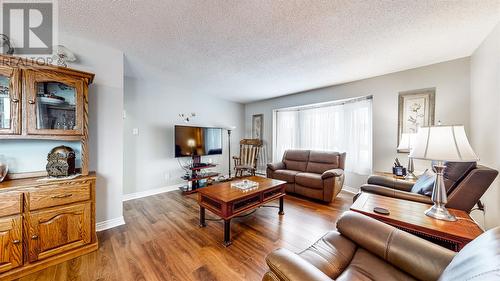 113 Michener Avenue, Mount Pearl, NL - Indoor Photo Showing Living Room
