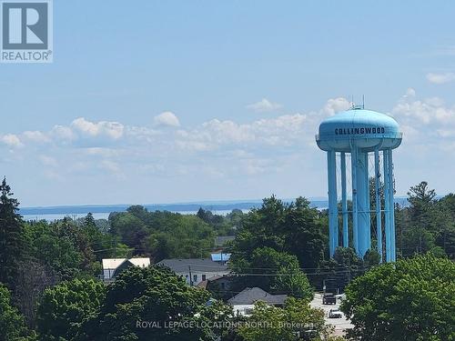 215 - 1 Hume Street, Collingwood, ON - Outdoor With View