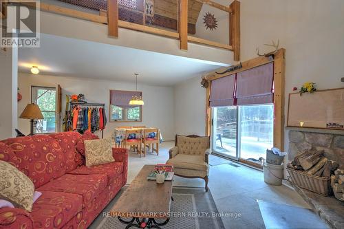 3386 Elm Tree Rd, Kawartha Lakes, ON - Indoor Photo Showing Living Room With Fireplace
