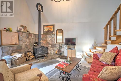 3386 Elm Tree Rd, Kawartha Lakes, ON - Indoor Photo Showing Living Room With Fireplace