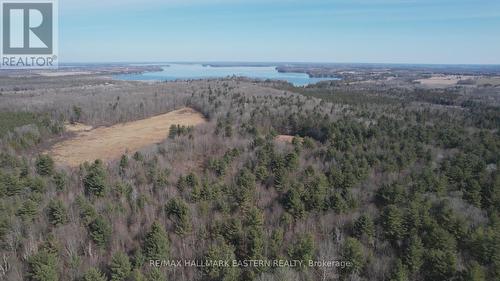 3386 Elm Tree Road, Kawartha Lakes (Woodville), ON - Outdoor With View