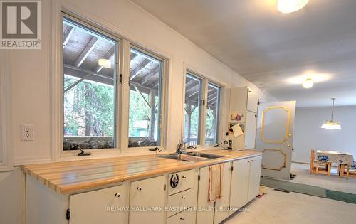 3386 Elm Tree Road, Kawartha Lakes, ON - Indoor Photo Showing Kitchen With Double Sink