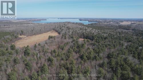 3386 Elm Tree Road, Kawartha Lakes, ON - Outdoor With View