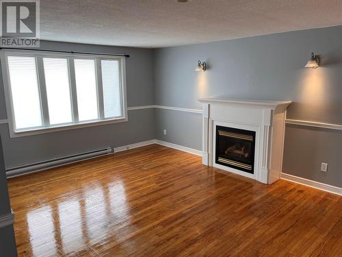11 Fahey Street, St. John'S, NL - Indoor With Fireplace