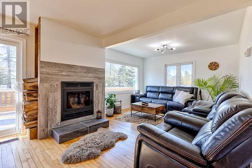 13314 60 Highway, Golden Lake, ON - Indoor Photo Showing Living Room With Fireplace