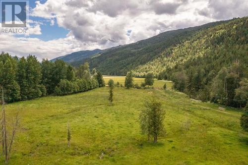 961 Agate Bay Road, Barriere, BC - Outdoor With View