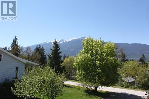 307 Nelson Avenue, Nakusp, BC - Outdoor With View