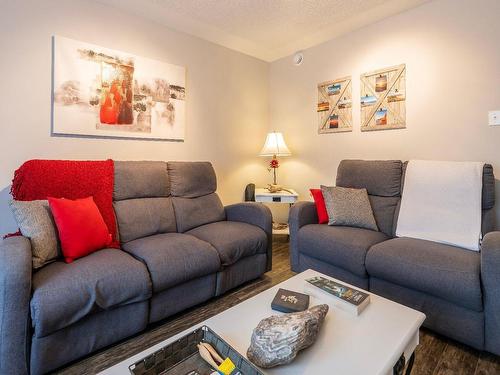 Salon - 106 Ch. Boudreau, Les Îles-De-La-Madeleine, QC - Indoor Photo Showing Living Room