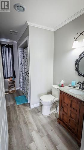 77 Jr Smallwood Boulevard, Gambo, NL - Indoor Photo Showing Bathroom