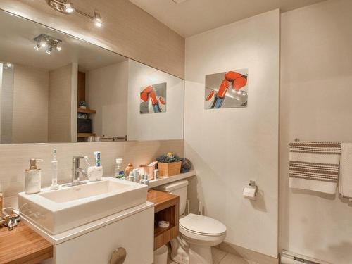 Bathroom - 408-710 Boul. Des Seigneurs, Terrebonne (Terrebonne), QC - Indoor Photo Showing Bathroom