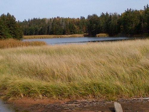 East Point Road, Souris, PE 